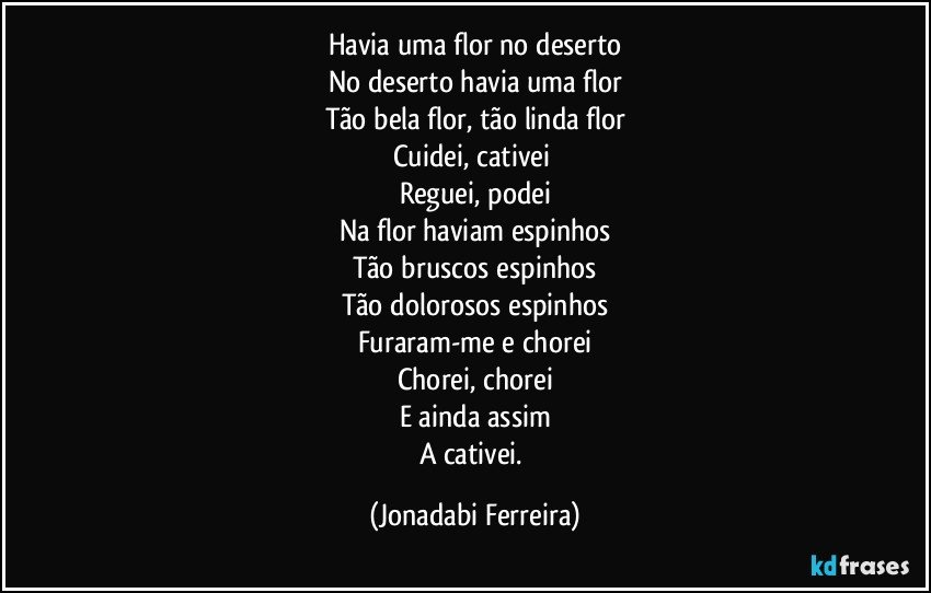 Havia uma flor no deserto
No deserto havia uma flor
Tão bela flor, tão linda flor
Cuidei, cativei 
Reguei, podei
Na flor haviam espinhos
Tão bruscos espinhos
Tão dolorosos espinhos
Furaram-me e chorei
Chorei, chorei
E ainda assim
A cativei. (Jonadabi Ferreira)