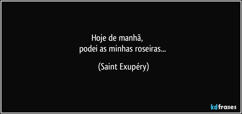 Hoje de manhã,                       
podei as minhas roseiras... (Saint Exupéry)