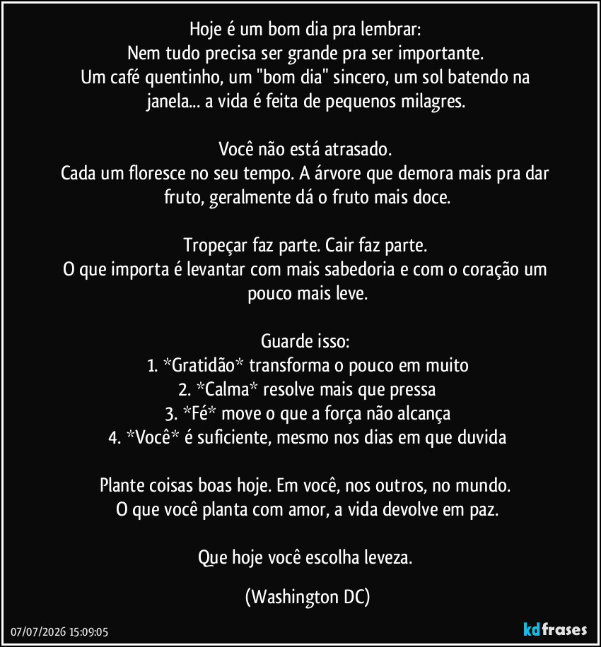 Hoje é um bom dia pra lembrar:  
Nem tudo precisa ser grande pra ser importante.  
Um café quentinho, um "bom dia" sincero, um sol batendo na janela... a vida é feita de pequenos milagres.

Você não está atrasado.  
Cada um floresce no seu tempo. A árvore que demora mais pra dar fruto, geralmente dá o fruto mais doce.

Tropeçar faz parte. Cair faz parte.  
O que importa é levantar com mais sabedoria e com o coração um pouco mais leve.

Guarde isso:  
1. *Gratidão* transforma o pouco em muito
2. *Calma* resolve mais que pressa
3. *Fé* move o que a força não alcança
4. *Você* é suficiente, mesmo nos dias em que duvida

Plante coisas boas hoje. Em você, nos outros, no mundo.  
O que você planta com amor, a vida devolve em paz.

Que hoje você escolha leveza. (Washington DC)
