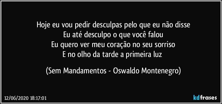 Hoje eu vou pedir desculpas pelo que eu não disse
Eu até desculpo o que você falou
Eu quero ver meu coração no seu sorriso
E no olho da tarde a primeira luz (Sem Mandamentos - Oswaldo Montenegro)