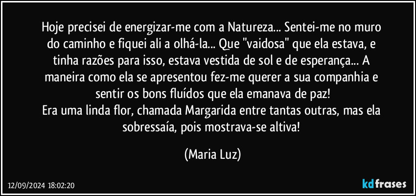 Hoje precisei de energizar-me com a Natureza... Sentei-me no muro do caminho e fiquei ali a olhá-la... Que "vaidosa" que ela estava, e tinha razões para isso, estava vestida de sol e de esperança... A maneira como ela se apresentou fez-me querer a sua companhia e sentir os bons fluídos que ela emanava de paz!
Era uma linda flor, chamada Margarida entre tantas outras, mas ela sobressaía, pois mostrava-se altiva! (Maria Luz)