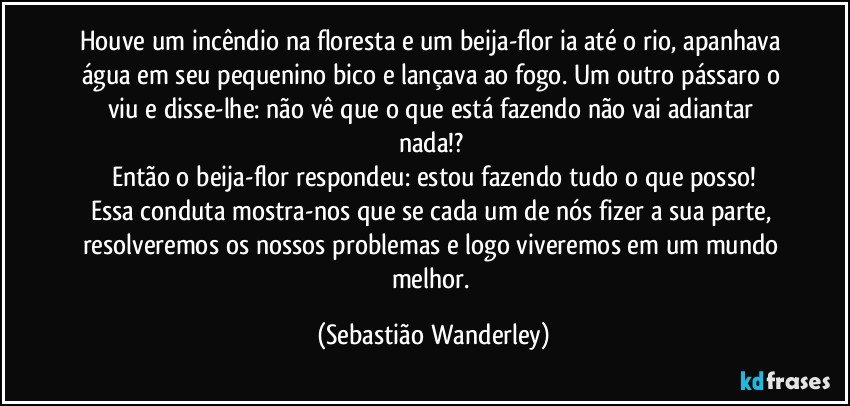 Houve um incêndio na floresta e um beija-flor ia até o rio, apanhava água em seu pequenino bico e lançava ao fogo. Um outro pássaro o viu e disse-lhe: não vê que o que está fazendo não vai adiantar nada!? 
Então o beija-flor respondeu: estou fazendo tudo o que posso!
Essa conduta mostra-nos que se cada um de nós fizer a sua parte, resolveremos os nossos problemas e logo viveremos em um mundo melhor. (Sebastião Wanderley)