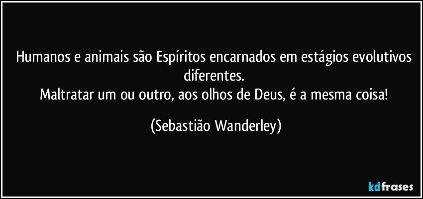 Humanos e animais são Espíritos encarnados em estágios evolutivos diferentes. 
Maltratar um ou outro, aos olhos de Deus, é a mesma coisa! (Sebastião Wanderley)