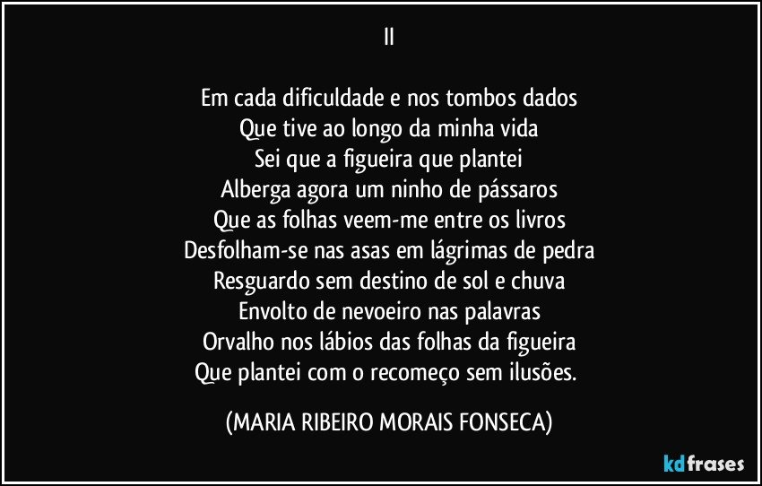 II

Em cada dificuldade e nos tombos dados
Que tive ao longo da minha vida
Sei que a figueira que plantei
Alberga agora um ninho de pássaros
Que as folhas veem-me entre os livros
Desfolham-se nas asas em lágrimas de pedra
Resguardo sem destino de sol e chuva
Envolto de nevoeiro nas palavras
Orvalho nos lábios das folhas da figueira
Que plantei com o recomeço sem ilusões. (MARIA RIBEIRO MORAIS FONSECA)