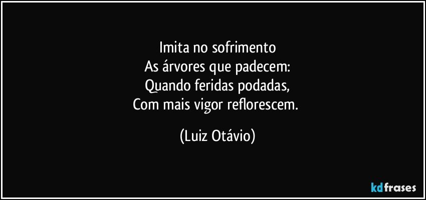 Imita no sofrimento
As árvores que padecem:
Quando feridas podadas,
Com mais vigor reflorescem. (Luiz Otávio)