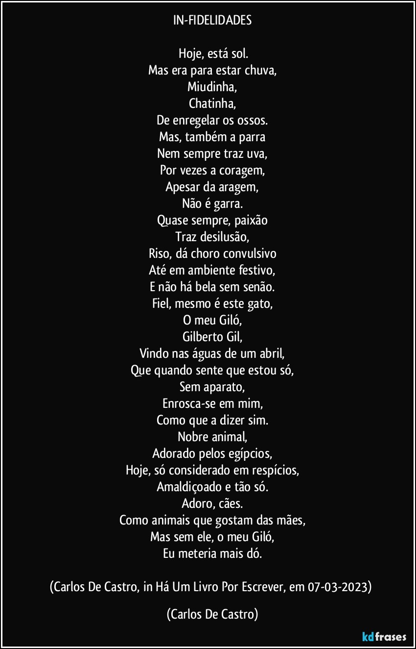 IN-FIDELIDADES

⁠Hoje, está sol.
Mas era para estar chuva,
Miudinha,
Chatinha,
De enregelar os ossos.
Mas, também a parra
Nem sempre traz uva,
Por vezes a coragem,
Apesar da aragem,
Não é garra.
Quase sempre, paixão
Traz desilusão,
Riso, dá choro convulsivo
Até em ambiente festivo,
E não há bela sem senão.
Fiel, mesmo é este gato,
O meu Giló,
Gilberto Gil,
Vindo nas águas de um abril,
Que quando sente que estou só,
Sem aparato,
Enrosca-se em mim,
Como que a dizer sim.
Nobre animal,
Adorado pelos egípcios,
Hoje, só considerado em respícios,
Amaldiçoado e tão só.
Adoro, cães.
Como animais que gostam das mães,
Mas sem ele, o meu Giló,
Eu meteria mais dó.

(Carlos De Castro, in Há Um Livro Por Escrever, em 07-03-2023) (Carlos De Castro)