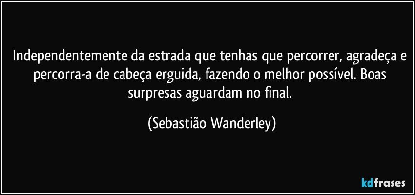 Independentemente da estrada que tenhas que percorrer, agradeça e percorra-a de cabeça erguida, fazendo o melhor possível. Boas surpresas aguardam no final. (Sebastião Wanderley)