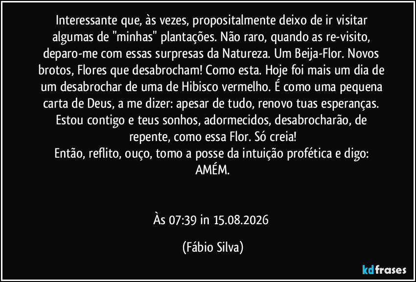 Interessante que, às vezes, propositalmente deixo de ir visitar algumas de "minhas" plantações. Não raro, quando as re-visito, deparo-me com essas surpresas da Natureza. Um Beija-Flor. Novos brotos, Flores que desabrocham! Como esta. Hoje foi mais um dia de um desabrochar de uma de Hibisco vermelho. É como uma pequena carta de Deus, a me dizer: apesar de tudo, renovo tuas esperanças. Estou contigo e teus sonhos, adormecidos, desabrocharão, de repente, como essa Flor. Só creia!
Então, reflito, ouço, tomo a posse da intuição profética e digo: AMÉM.


Às 07:39 in 15.08.2026 (Fábio Silva)