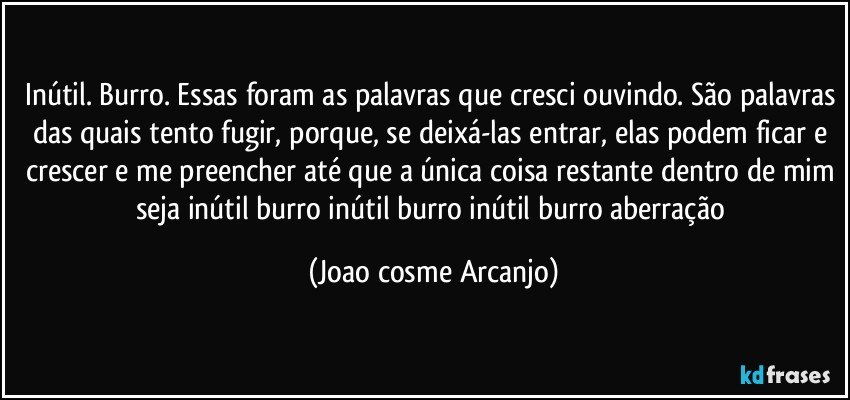 Inútil. Burro. Essas foram as palavras que cresci ouvindo. São palavras das quais tento fugir, porque, se deixá-las entrar, elas podem ficar e crescer e me preencher até que a única coisa restante dentro de mim seja inútil burro inútil burro inútil burro aberração (Joao cosme Arcanjo)