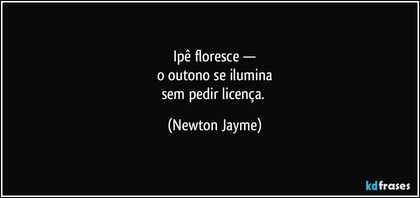 Ipê floresce —
o outono se ilumina
sem pedir licença. (Newton Jayme)