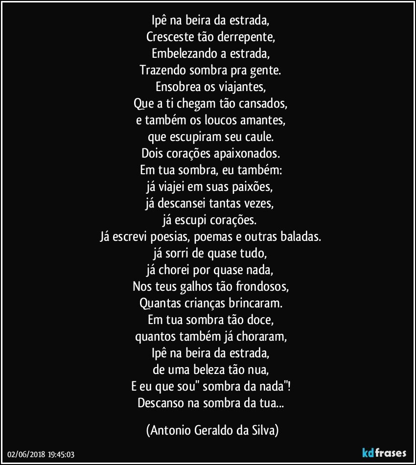 Ipê na beira da estrada, 
Cresceste tão derrepente, 
Embelezando a estrada, 
Trazendo sombra pra gente. 
Ensobrea os viajantes, 
Que a ti chegam tão cansados, 
e também os loucos amantes, 
que escupiram seu caule. 
Dois corações apaixonados. 
Em tua sombra, eu também: 
já viajei em suas paixões, 
já descansei tantas vezes, 
já escupi corações. 
Já escrevi poesias, poemas e outras baladas. 
já sorri de quase tudo, 
já chorei por quase nada, 
Nos teus galhos tão frondosos, 
Quantas crianças brincaram. 
Em tua sombra tão doce, 
quantos também já choraram, 
Ipê na beira da estrada, 
de uma beleza tão nua, 
E eu que sou" sombra da nada"! 
Descanso na sombra da tua... (Antonio Geraldo da Silva)