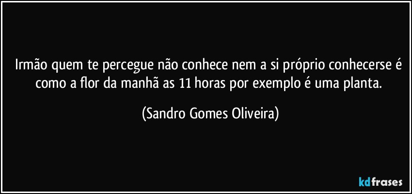 Irmão quem te percegue não conhece nem a si próprio conhecerse é como a flor da manhã as 11 horas por exemplo é uma planta. (Sandro Gomes Oliveira)