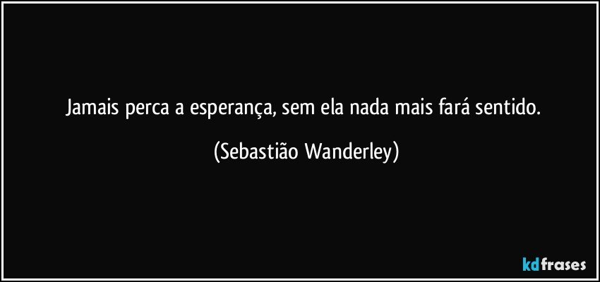 Jamais perca a esperança, sem ela nada mais fará sentido. (Sebastião Wanderley)