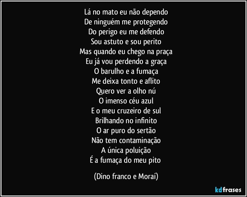 Lá no mato eu não dependo
De ninguém me protegendo
Do perigo eu me defendo
Sou astuto e sou perito
Mas quando eu chego na praça
Eu já vou perdendo a graça
O barulho e a fumaça
Me deixa tonto e aflito
Quero ver a olho nú
O imenso céu azul
E o meu cruzeiro de sul
Brilhando no infinito
O ar puro do sertão
Não tem contaminação
A única poluição
É a fumaça do meu pito (Dino franco e Moraí)