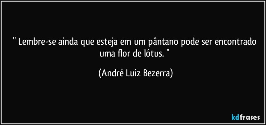 " Lembre-se ainda que esteja em um pântano pode ser encontrado uma flor de lótus. " (André Luiz Bezerra)