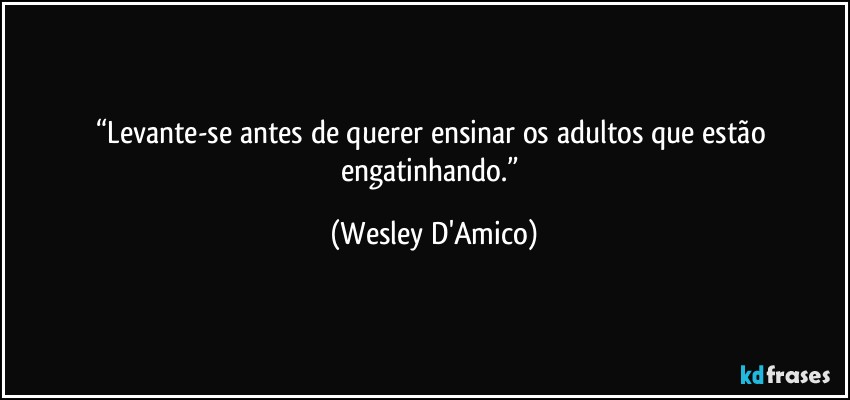 “Levante-se antes de querer ensinar os adultos que estão engatinhando.” (Wesley D'Amico)