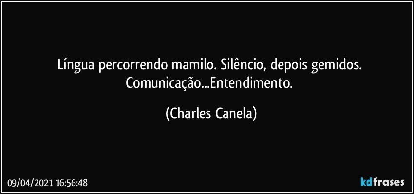 Língua percorrendo mamilo. Silêncio, depois gemidos. Comunicação...Entendimento. (Charles Canela)