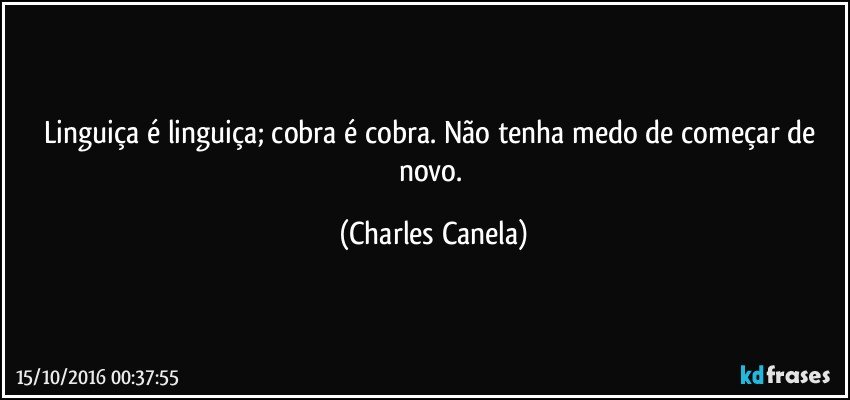 Linguiça é linguiça; cobra é cobra. Não tenha medo de começar de novo. (Charles Canela)