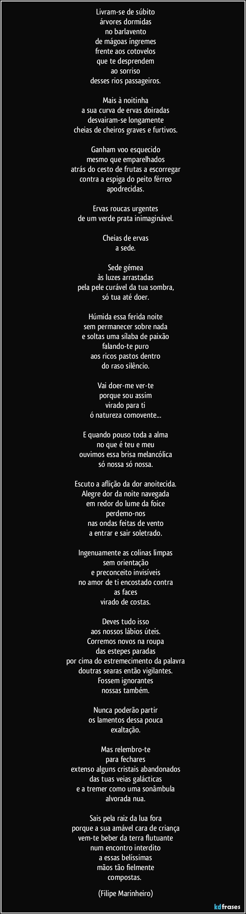 Livram-se de súbito
árvores dormidas
no barlavento
de mágoas íngremes
frente aos cotovelos
que te desprendem
ao sorriso
desses rios passageiros.

Mais à noitinha
a sua curva de ervas doiradas
desvairam-se longamente
cheias de cheiros graves e furtivos.

Ganham voo esquecido
mesmo que emparelhados
atrás do cesto de frutas a escorregar
contra a espiga do peito férreo
apodrecidas.

Ervas roucas urgentes
de um verde prata inimaginável.

Cheias de ervas
a sede.

Sede gémea
às luzes arrastadas
pela pele curável da tua sombra,
só tua até doer.

Húmida essa ferida noite
sem permanecer sobre nada
e soltas uma sílaba de paixão
falando-te puro
aos ricos pastos dentro
do raso silêncio.

Vai doer-me ver-te
porque sou assim
virado para ti
ó natureza comovente...

E quando pouso toda a alma
no que é teu e meu
ouvimos essa brisa melancólica
só nossa só nossa.

Escuto a aflição da dor anoitecida.
Alegre dor da noite navegada
em redor do lume da foice
perdemo-nos
nas ondas feitas de vento
a entrar e sair soletrado.

Ingenuamente as colinas limpas
sem orientação
e preconceito invisíveis
no amor de ti encostado contra
as faces
virado de costas.

Deves tudo isso
aos nossos lábios úteis.
Corremos novos na roupa
das estepes paradas
por cima do estremecimento da palavra
doutras searas então vigilantes.
Fossem ignorantes
nossas também.

Nunca poderão partir
os lamentos dessa pouca
exaltação.

Mas relembro-te
para fechares
extenso alguns cristais abandonados
das tuas veias galácticas
e a tremer como uma sonâmbula
alvorada nua.

Sais pela raiz da lua fora
porque a sua amável cara de criança
vem-te beber da terra flutuante
num encontro interdito
a essas belíssimas
mãos tão fielmente
compostas. (Filipe Marinheiro)