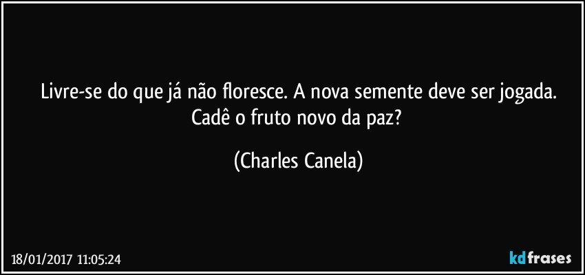 Livre-se do que já não floresce. A nova semente deve ser jogada.
Cadê o fruto novo da paz? (Charles Canela)