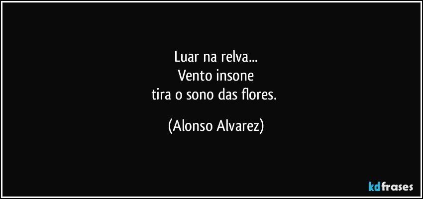 Luar na relva...
Vento insone
tira o sono das flores. (Alonso Alvarez)