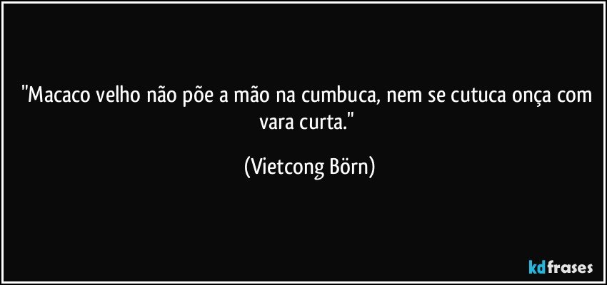 "Macaco velho não põe a mão na cumbuca, nem se cutuca onça com vara curta." (Vietcong Börn)