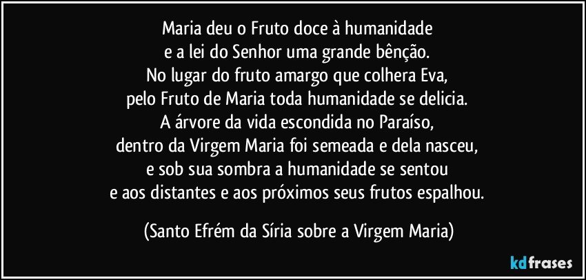 Maria deu o Fruto doce à humanidade 
e a lei do Senhor uma grande bênção. 
No lugar do fruto amargo que colhera Eva, 
pelo Fruto de Maria toda humanidade se delicia. 
A árvore da vida escondida no Paraíso, 
dentro da Virgem Maria foi semeada e dela nasceu, 
e sob sua sombra a humanidade se sentou 
e aos distantes e aos próximos seus frutos espalhou. (Santo Efrém da Síria sobre a Virgem Maria)