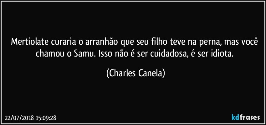 Mertiolate curaria o arranhão que seu filho teve na perna, mas você chamou o Samu. Isso não é ser cuidadosa, é ser idiota. (Charles Canela)