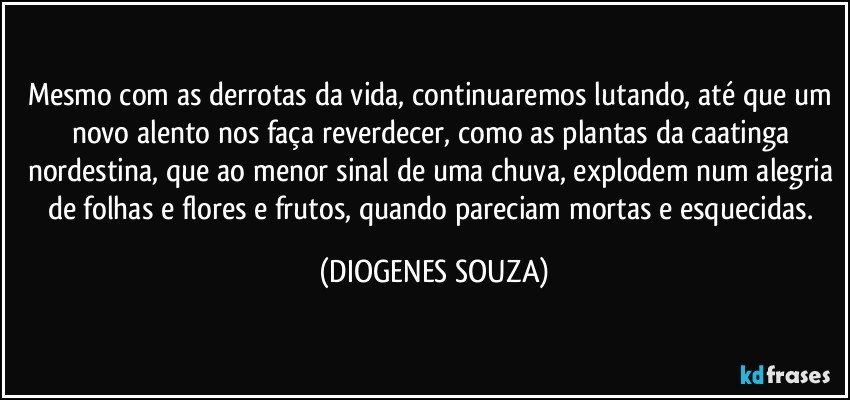 Mesmo com as derrotas da vida, continuaremos lutando, até que um novo alento nos faça reverdecer, como as plantas da caatinga nordestina, que ao menor sinal de uma chuva, explodem num alegria de folhas e flores e frutos, quando pareciam mortas e esquecidas. (DIOGENES SOUZA)