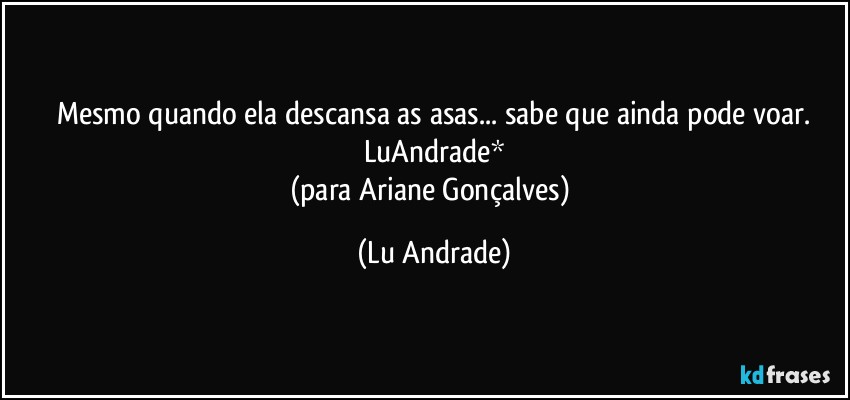 Mesmo quando ela descansa as asas... sabe que ainda pode voar.
LuAndrade*
(para Ariane Gonçalves) (Lu Andrade)