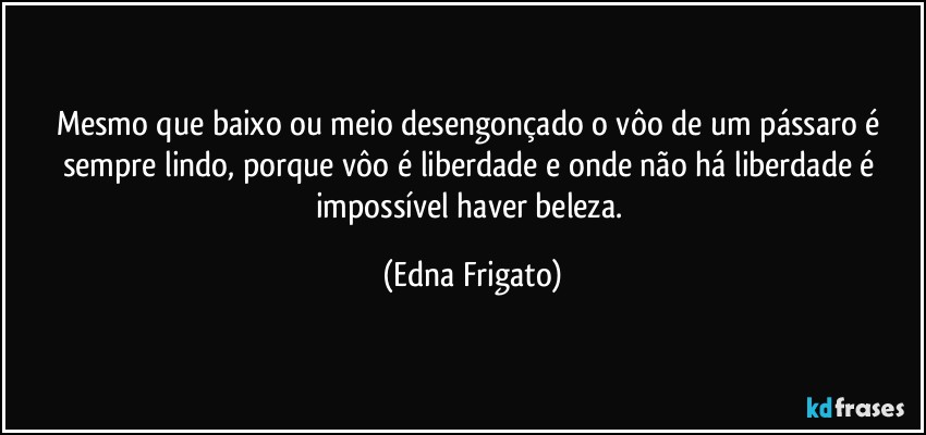 Mesmo que baixo ou meio desengonçado o vôo de um pássaro é sempre lindo, porque vôo é liberdade e onde não há liberdade é impossível haver beleza. (Edna Frigato)