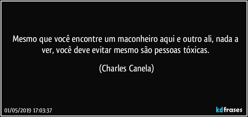 Mesmo que você encontre um maconheiro aqui e outro ali, nada a ver, você deve evitar mesmo são pessoas tóxicas. (Charles Canela)