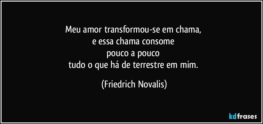 Meu amor transformou-se em chama, 
e essa chama consome 
pouco a pouco 
tudo o que há de terrestre em mim. (Friedrich Novalis)