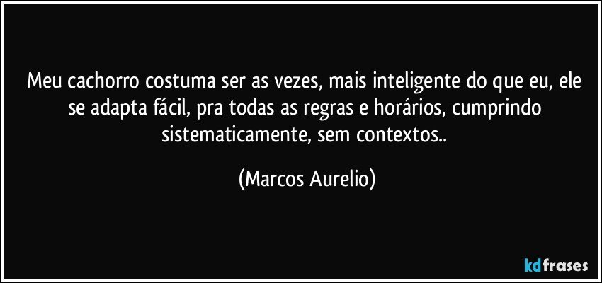 Meu cachorro costuma ser  as vezes, mais inteligente do que eu, ele se adapta fácil, pra  todas as regras e horários, cumprindo sistematicamente, sem contextos.. (Marcos Aurelio)