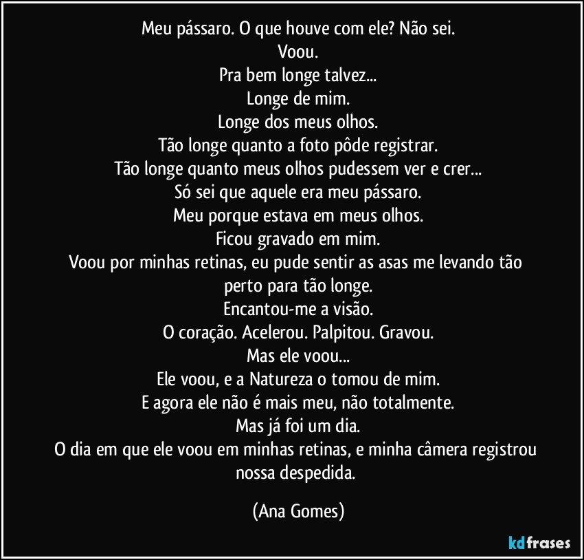 Meu pássaro. O que houve com ele? Não sei.
Voou.
Pra bem longe talvez...
Longe de mim.
Longe dos meus olhos.
Tão longe quanto a foto pôde registrar.
Tão longe quanto meus olhos pudessem ver e crer...
Só sei que aquele era meu pássaro.
Meu porque estava em meus olhos.
Ficou gravado em mim.
Voou por minhas retinas, eu pude sentir as asas me levando tão perto para tão longe.
Encantou-me a visão.
O coração. Acelerou. Palpitou. Gravou.
Mas ele voou...
Ele voou, e a Natureza o tomou de mim.
E agora ele não é mais meu, não totalmente.
Mas já foi um dia.
O dia em que ele voou em minhas retinas, e minha câmera registrou nossa despedida. (Ana Gomes)