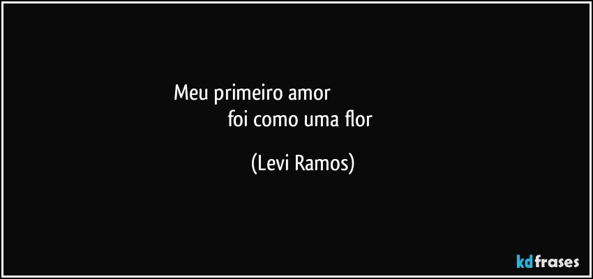 meu primeiro amor                                                                           foi como uma flor (Levi Ramos)