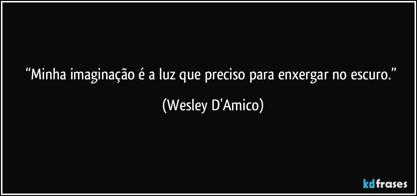 “Minha imaginação é a luz que preciso para enxergar no escuro.” (Wesley D'Amico)