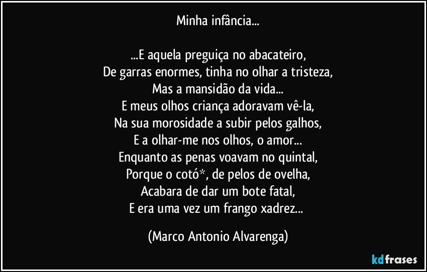 Minha infância...

...E aquela preguiça no abacateiro,
De garras enormes, tinha no olhar a tristeza,
Mas a mansidão da vida...
E meus olhos criança adoravam vê-la,
Na sua morosidade a subir pelos galhos,
E a olhar-me nos olhos, o amor...
Enquanto as penas voavam no quintal,
Porque o cotó*, de pelos de ovelha,
Acabara de dar um bote fatal,
E era uma vez um frango xadrez... (Marco Antonio Alvarenga)