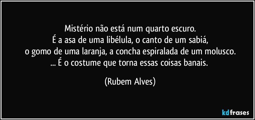 Mistério não está num quarto escuro.
É a asa de uma libélula, o canto de um sabiá,
o gomo de uma laranja, a concha espiralada de um molusco.
... É o costume que torna essas coisas banais. (Rubem Alves)