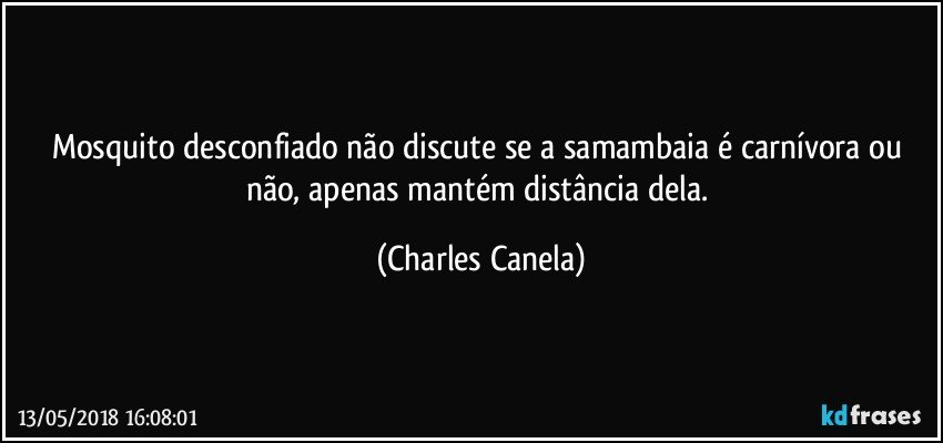 Mosquito desconfiado não discute se a samambaia é carnívora ou não, apenas mantém distância dela. (Charles Canela)