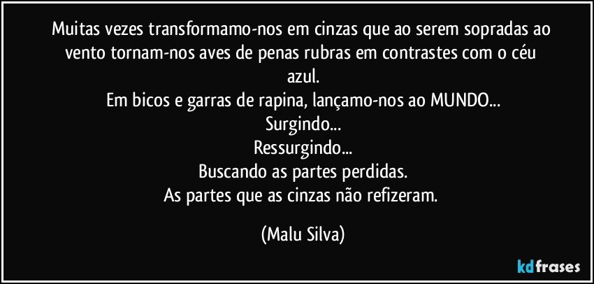 Muitas vezes transformamo-nos em cinzas que ao serem sopradas ao vento tornam-nos aves de penas rubras em contrastes com o céu azul.
Em bicos e garras de rapina, lançamo-nos ao MUNDO...
Surgindo...
Ressurgindo...
Buscando as partes perdidas.
As partes que as cinzas não refizeram. (Malu Silva)