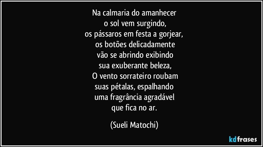 Na calmaria do amanhecer
 o sol vem surgindo,
 os pássaros em festa a gorjear,  
 os botões delicadamente
 vão se abrindo exibindo
 sua exuberante beleza,
 O vento sorrateiro roubam
 suas pétalas, espalhando 
uma fragrância agradável
 que fica no ar. (Sueli Matochi)