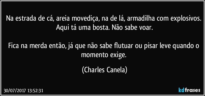 Na estrada de cá, areia movediça, na de lá, armadilha com explosivos. Aqui tá uma bosta. Não sabe voar.

Fica na merda então, já que não sabe flutuar ou pisar leve quando o momento exige. (Charles Canela)