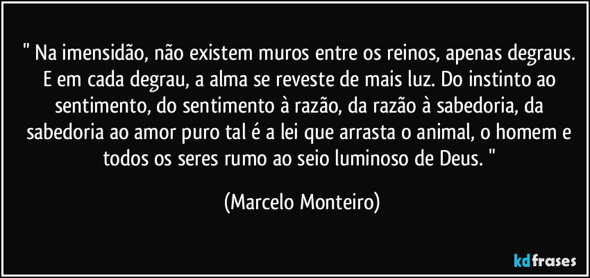 " Na imensidão, não existem muros entre os reinos, apenas degraus. E em cada degrau, a alma se reveste de mais luz. Do instinto ao sentimento, do sentimento à razão, da razão à sabedoria, da sabedoria ao amor puro tal é a lei que arrasta o animal, o homem e todos os seres rumo ao seio luminoso de Deus. " (Marcelo Monteiro)