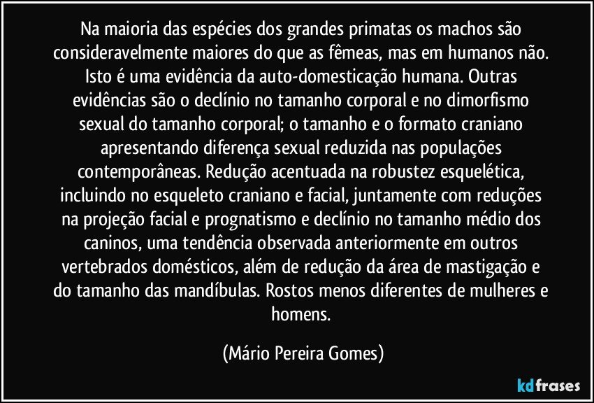 Na maioria das espécies dos grandes primatas os machos são consideravelmente maiores do que as fêmeas, mas em humanos não. Isto é uma evidência da auto-domesticação humana. Outras evidências são o declínio no tamanho corporal e no dimorfismo sexual do tamanho corporal; o tamanho e o formato craniano apresentando diferença sexual reduzida nas populações contemporâneas. Redução acentuada na robustez esquelética, incluindo no esqueleto craniano e facial, juntamente com reduções na projeção facial e prognatismo e declínio no tamanho médio dos caninos, uma tendência observada anteriormente em outros vertebrados domésticos, além de redução da área de mastigação e do tamanho das mandíbulas. Rostos menos diferentes de mulheres e homens. (Mário Pereira Gomes)