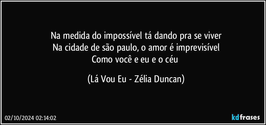 Na medida do impossível tá dando pra se viver
Na cidade de são paulo, o amor é imprevisível
Como você e eu e o céu (Lá Vou Eu - Zélia Duncan)