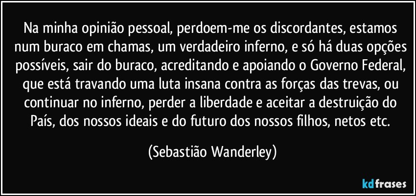 Na minha opinião pessoal, perdoem-me os discordantes, estamos num buraco em chamas, um verdadeiro inferno, e só há duas opções possíveis, sair do buraco, acreditando e apoiando o Governo Federal, que está travando uma luta insana contra as forças das trevas, ou continuar no inferno, perder a liberdade e aceitar a destruição do País, dos nossos ideais e do futuro dos nossos filhos, netos etc. (Sebastião Wanderley)