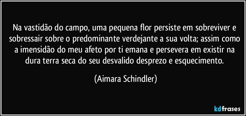 Na vastidão do campo, uma pequena flor persiste em sobreviver e sobressair sobre o predominante verdejante a sua volta; assim como a imensidão do meu afeto por ti emana e persevera em existir na dura terra seca do seu desvalido desprezo e esquecimento. (Aimara Schindler)