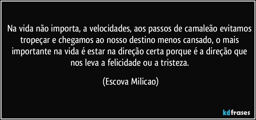 Na vida não importa, a velocidades, aos passos de camaleão evitamos tropeçar e chegamos ao nosso destino menos cansado, o mais importante na vida é estar na direção certa porque é a direção que nos leva a felicidade ou a tristeza. (Escova Milicao)