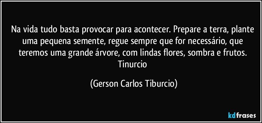 Na vida tudo basta provocar para acontecer. Prepare a terra, plante uma pequena semente, regue sempre que for necessário, que teremos uma grande árvore, com lindas flores, sombra e frutos. Tinurcio (Gerson Carlos Tiburcio)